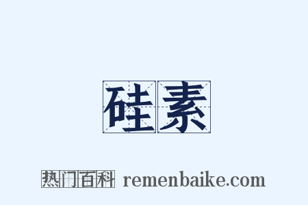 硅素是什么意思的图片